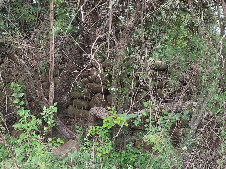 0 Bedroom Property for Sale in Swartruggens North West